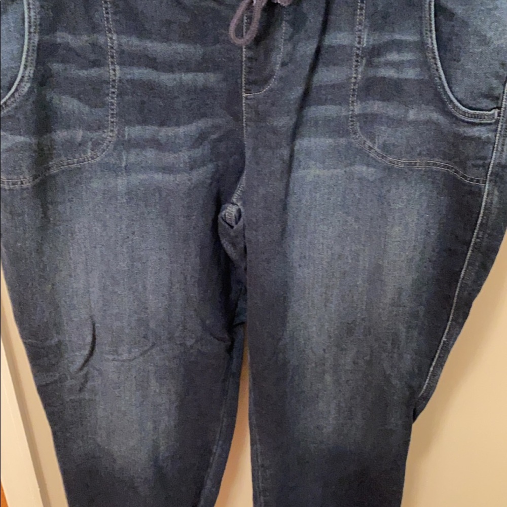 Torrid super soft joggers.